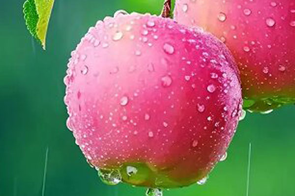 免费饮料配方研发机构技术鉴定报告