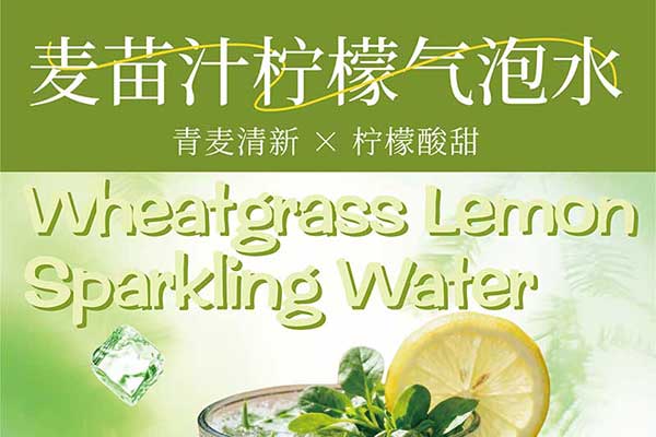 麦苗汁柠檬气泡水风味糖浆